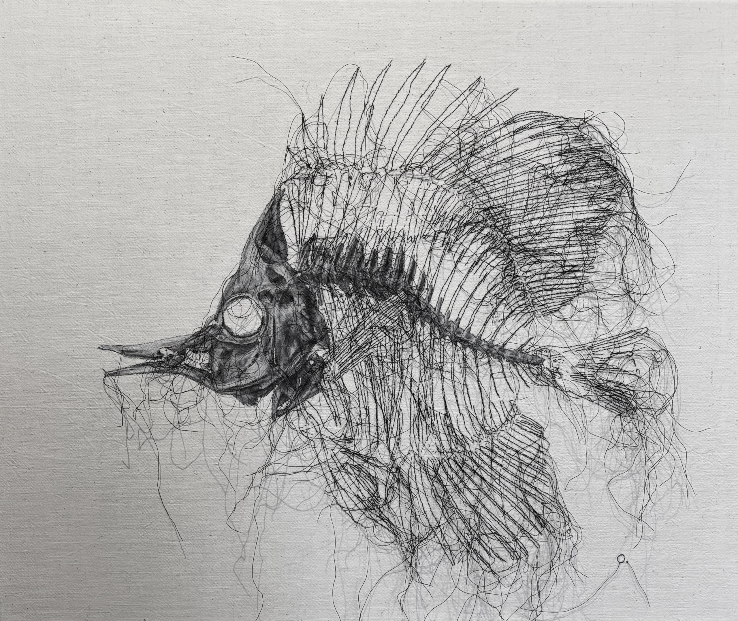 ODILE « Areste »